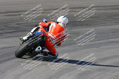 media/Feb-04-2024-SoCal Trackdays (Sun) [[91d6515b1d]]/4-Bowl Backside (11am)/